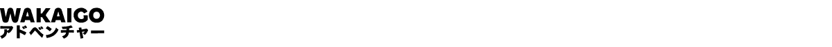 Official Merchandise Partner